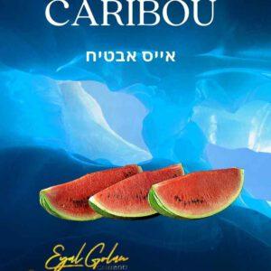 הסיגריה האלקטרונית של אייל גולן CARIBOU