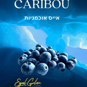 הסיגריה האלקטרונית של אייל גולן CARIBOU