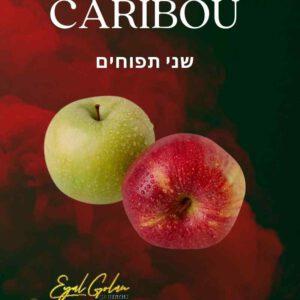 הסיגריה האלקטרונית של אייל גולן CARIBOU