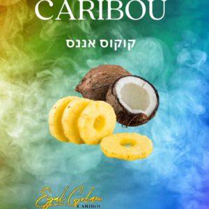 הסיגריה האלקטרונית של אייל גולן CARIBOU