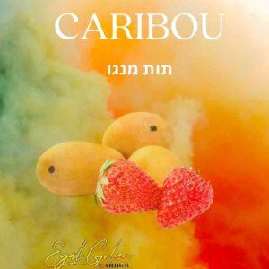 הסיגריה האלקטרונית של אייל גולן CARIBOU