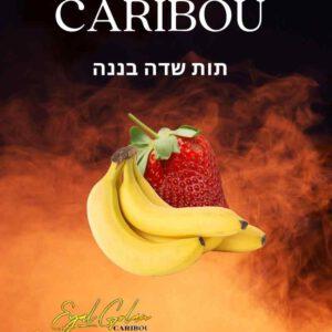 הסיגריה האלקטרונית של אייל גולן CARIBOU