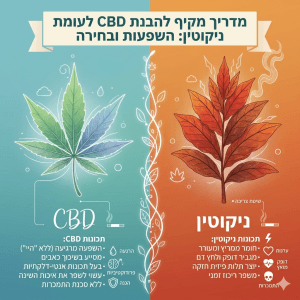 CBD לעומת ניקוטין: המדריך השלם להבדלים, יתרונות ובחירה נבונה